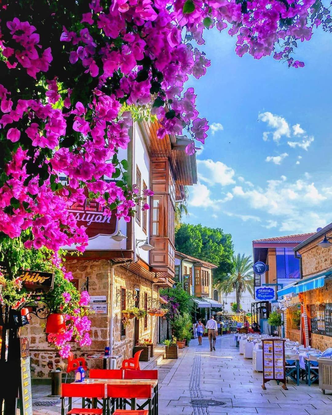 Deer Hostel & Hotel Antalya Dış mekan fotoğraf
